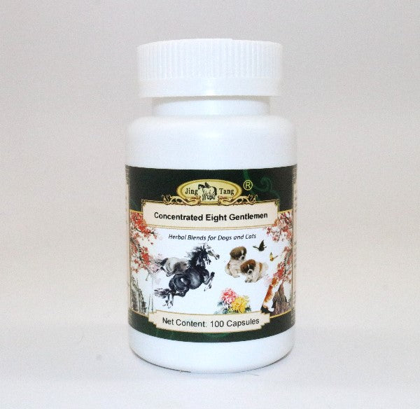 Concentrated Eight Gentlemen