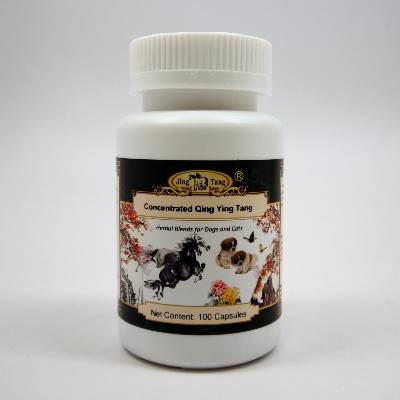 Concentrated Qing Ying Tang