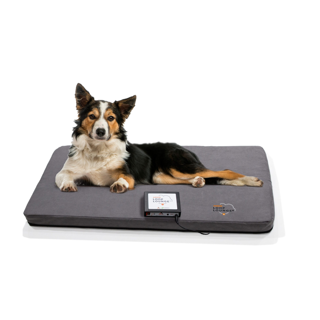 Assisi Medium Lounge (17 X 35 inch)