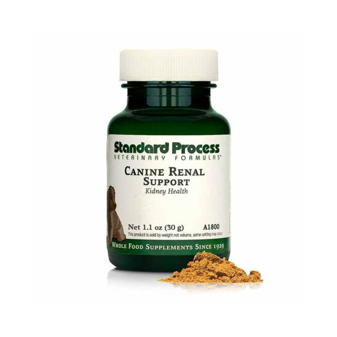 Canine Renal Support 30g