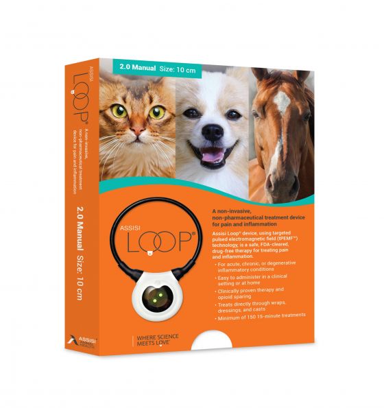 ASSISI LOOP - Large (20 cm) - Pulsed Electric Magnetic Field Therapy