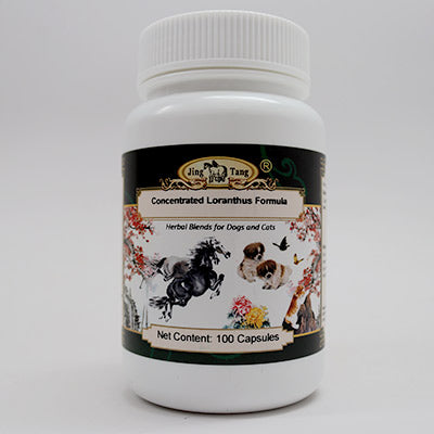 Concentrated Loranthus