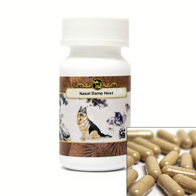 Nasal Damp Heat