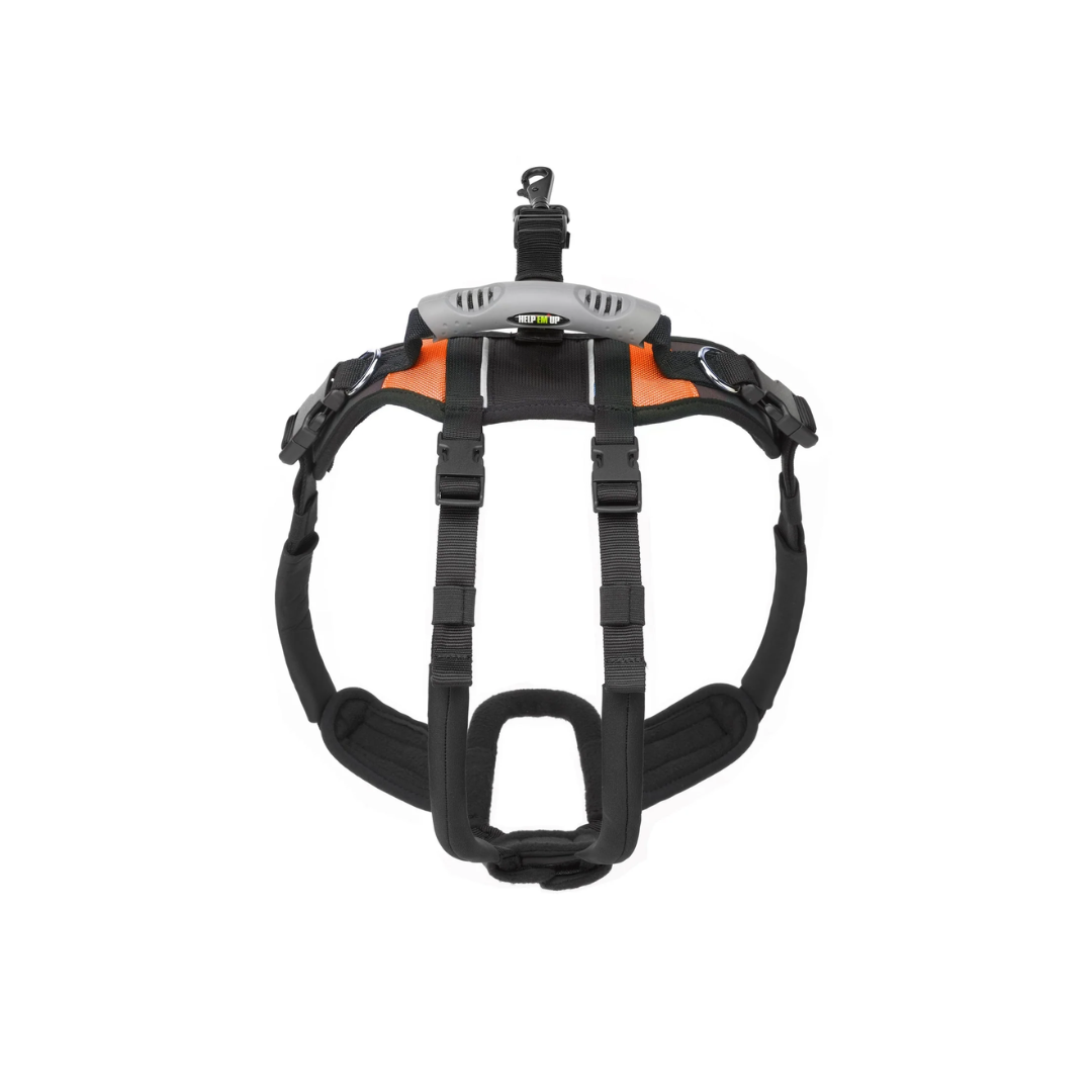 Help Em' Up Harness - U BAND - Rear Half