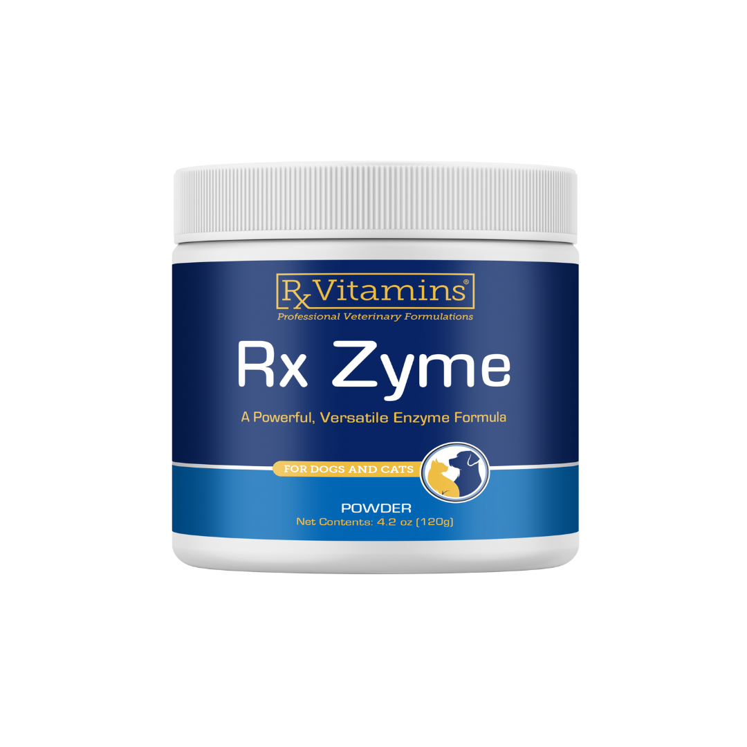 Rx Zyme (Enzymes) - Powder