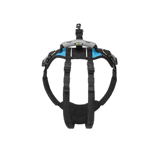 Help 'Em Up Harness - Rear Half