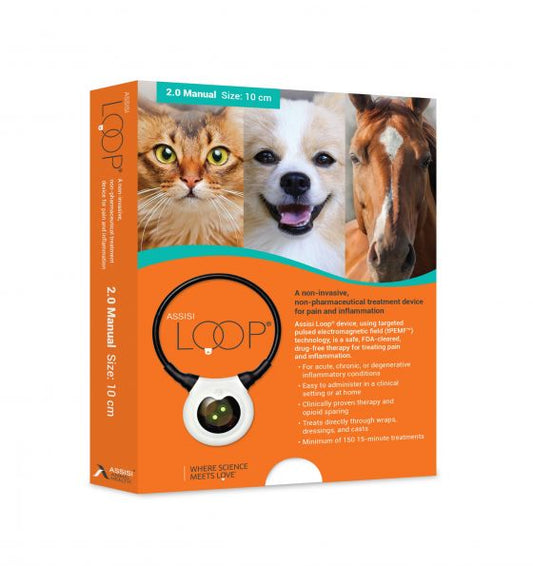 ASSISI LOOP - Large (20 cm) - Pulsed Electric Magnetic Field Therapy